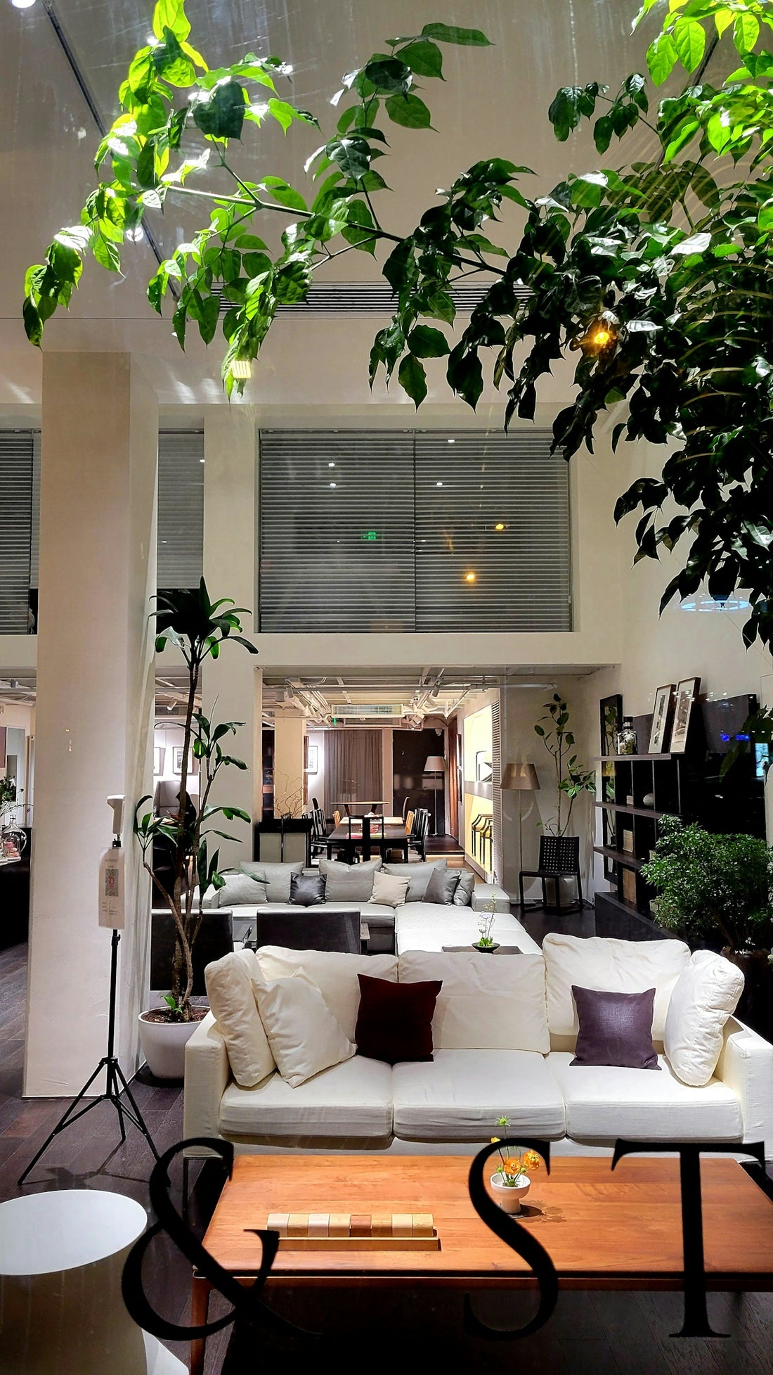 a living room filled with furniture and lots of greenery