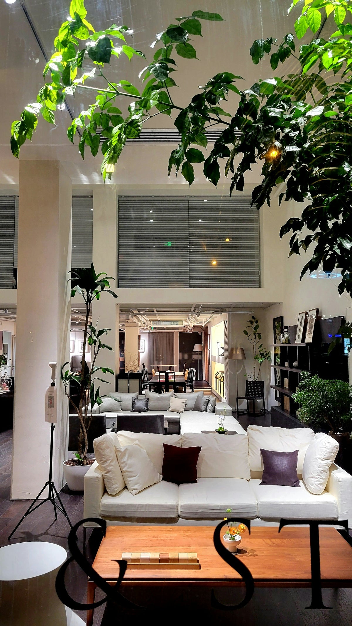 a living room filled with furniture and lots of greenery