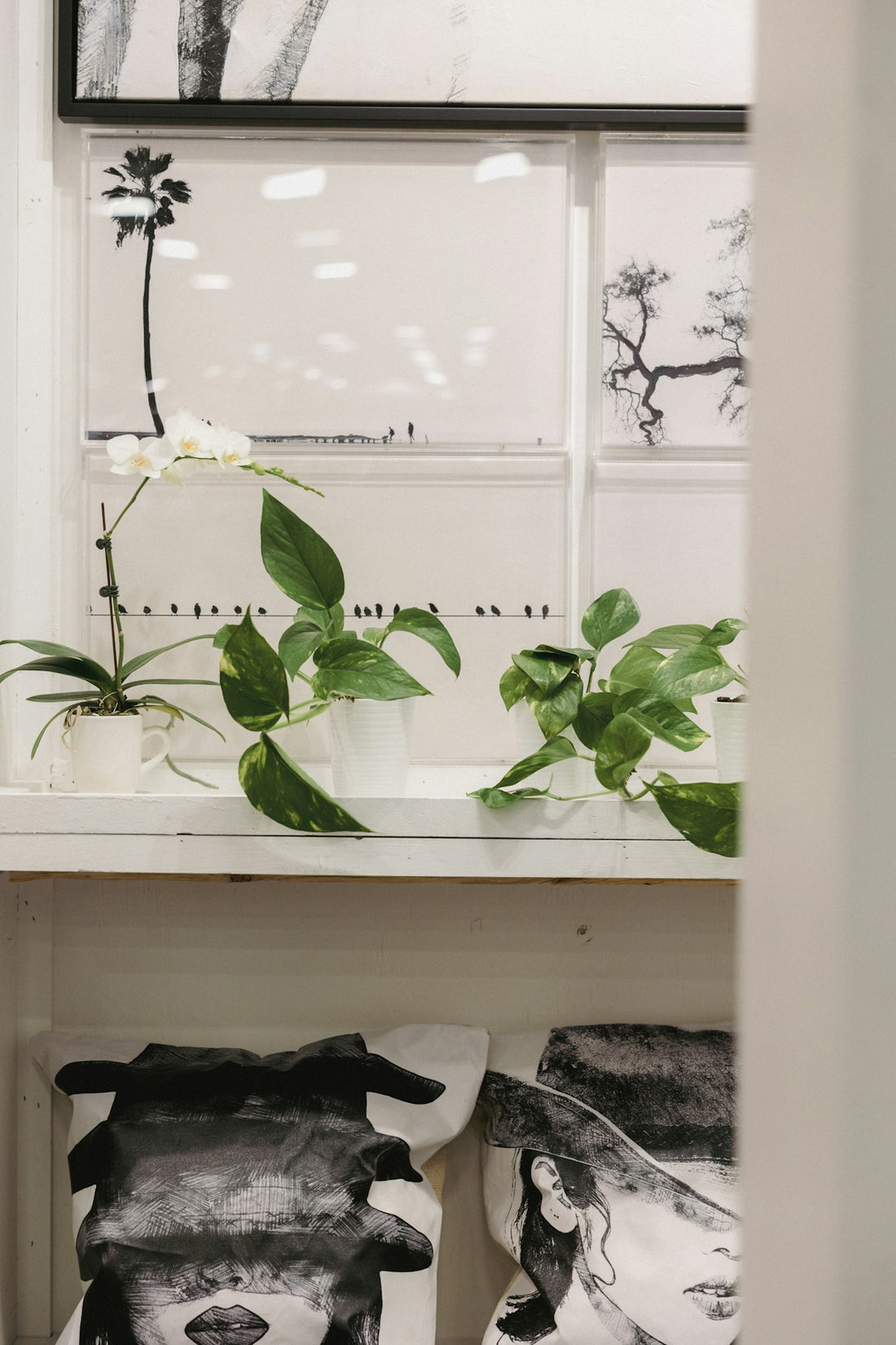 Artwork and plants decorate a shelf.