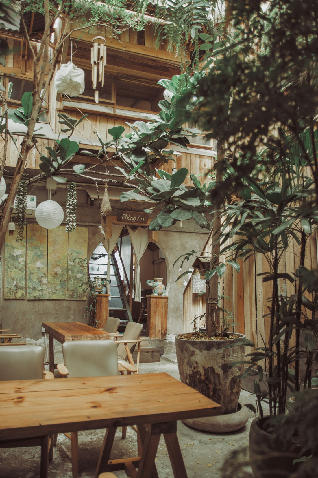 Cozy cafe interior with wooden tables and lush plants