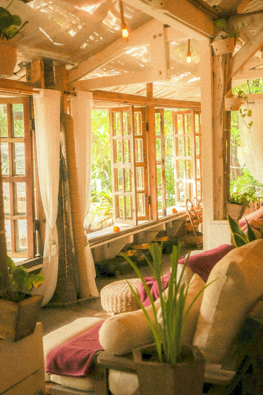 A cozy, rustic room filled with natural light and plants.