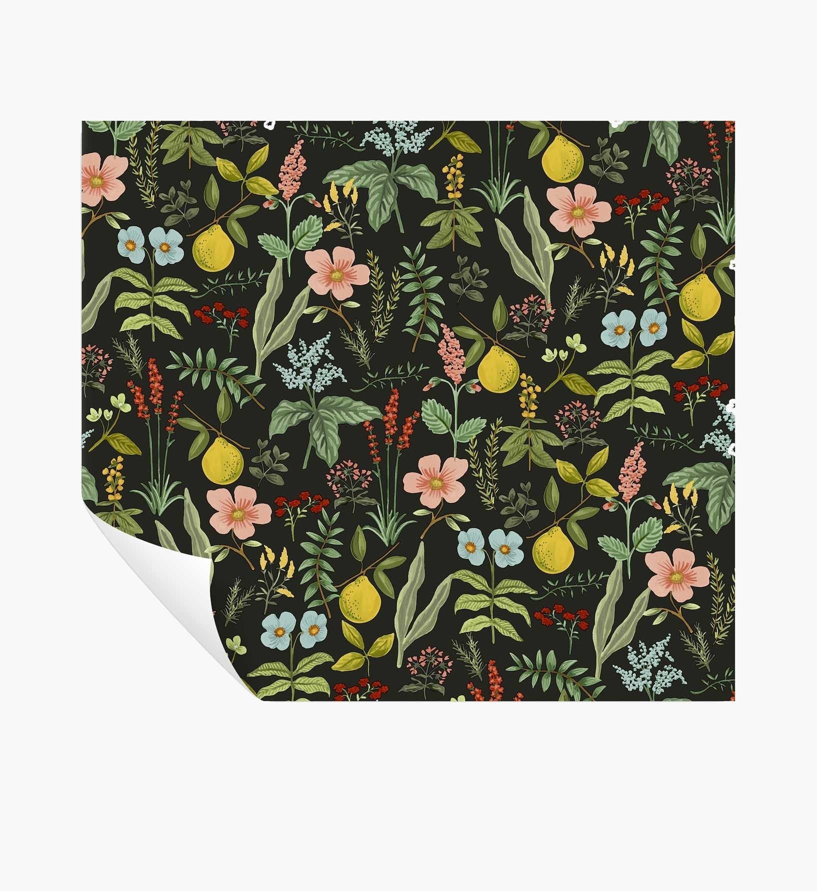 Herb Garden Peel & Stick Wallpaper - Black